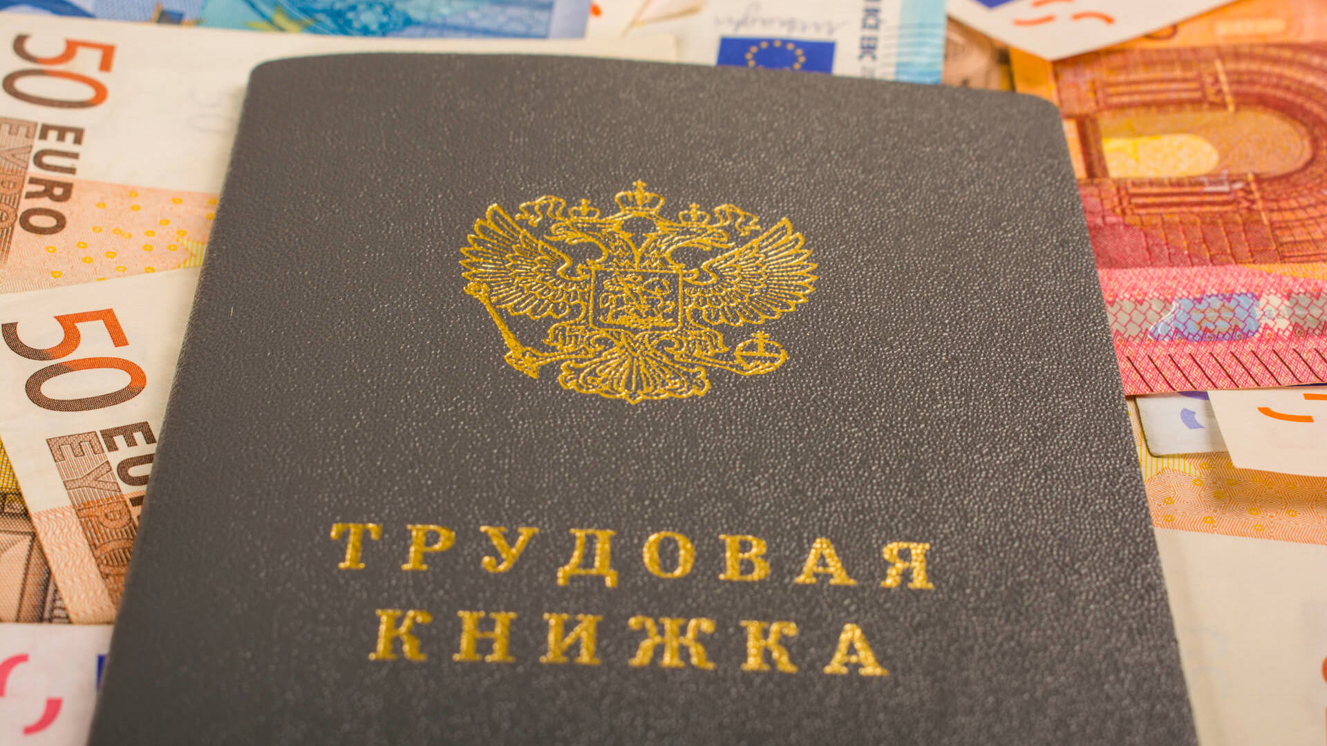 Уголовное дело по ч.2 ст.145.1 УК РФ (Невыплата заработной платы)